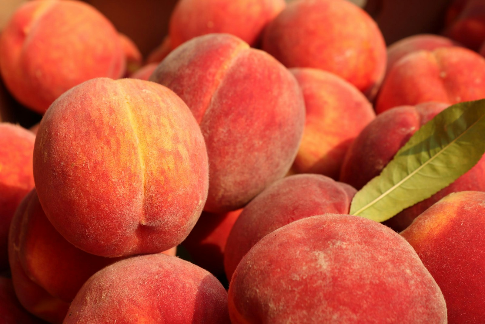 Peachstate Insurance provides cheap car insurance for Newnan, GA drivers